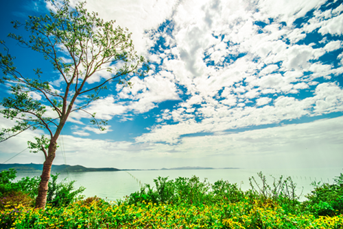 1504861323653007.png 6.png