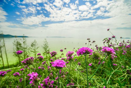 1504861316103517.jpg 5 (2).jpg