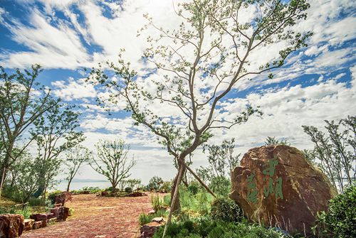 1504861360114055.jpg 9.jpg