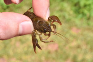 1722408100392872joQg.jpg 图片-2.jpg